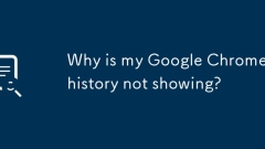 Why is my Google Chrome history not showing?