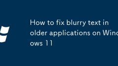 Comment réparer le texte flou dans les anciennes applications sur Windows 11
