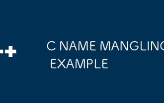 C ?? Mangling ??