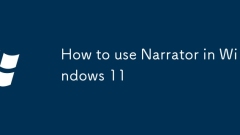 Windows 11?? ????? ???? ??