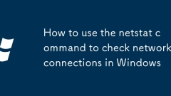 How to use the netstat command to check network connections in Windows