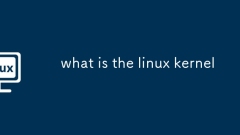 Linux ??? ??????