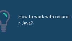Java의 레코드 작업 방법은 무엇입니까?