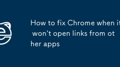 当Chrome无法打开其他应用程序时,如何修复Chrome