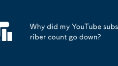 なぜ私のYouTubeサブスクライバーカウントがダウンしたのですか?
