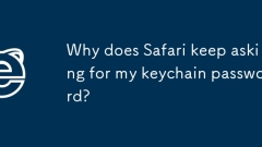 Safari为什么不断询问我的钥匙扣密码?