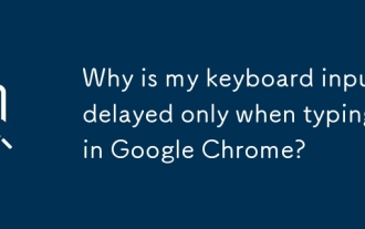 Google Chromeを入力するときにのみキーボード入力が遅れるのですか?