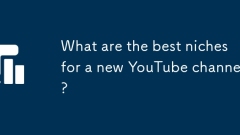 What are the best niches for a new YouTube channel?
