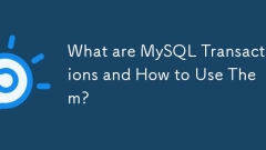 What are MySQL Transactions and How to Use Them?