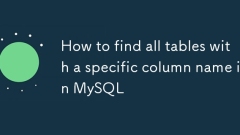How to find all tables with a specific column name in MySQL