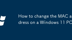 Cara menukar alamat MAC pada PC Windows 11