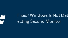 Behoben: Windows erkennt keinen zweiten Monitor