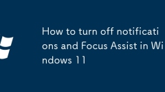 So deaktivieren Sie Benachrichtigungen und Fokussierung in Windows 11