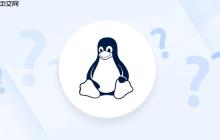 Linux怎么查看网络连接状态？ netstat命令快速检查网络连接情况