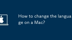 如何更改Mac上的语言?