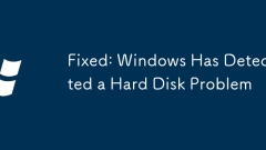 Fixé: Windows a détecté un problème de disque dur
