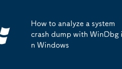 How to analyze a system crash dump with WinDbg in Windows