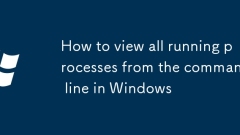 How to view all running processes from the command line in Windows