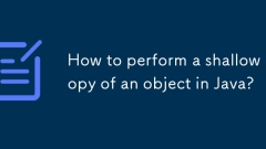How to perform a shallow copy of an object in Java?