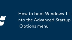 How to boot Windows 11 into the Advanced Startup Options menu