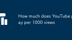 YouTube每1000次观看率要多少钱