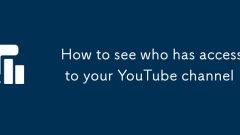 如何查看谁可以访问您的YouTube频道