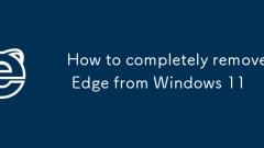 如何从Windows 11完全删除边缘