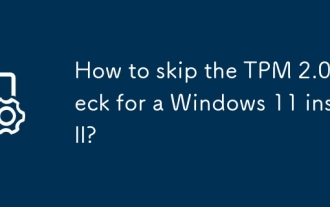 How to skip the TPM 2.0 check for a Windows 11 install?