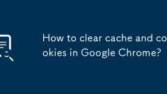 Bagaimana cara membersihkan cache dan kuki di Google Chrome?