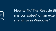 Bagaimana untuk memperbaiki 'tong kitar semula rosak' pada pemacu luaran di Windows?
