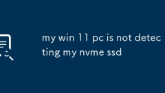 PC Win 11 saya tidak mengesan SSD NVME saya