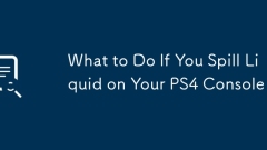 Apa yang perlu dilakukan jika anda menumpahkan cecair pada konsol ps4 anda