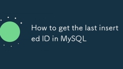 How to get the last inserted ID in MySQL