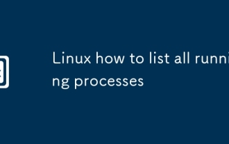 Linux So listen Sie alle laufenden Prozesse auf