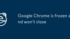 Google Chrome已冻结,不会关闭