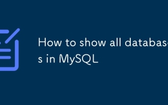 MySQL에서 모든 데이터베이스를 표시하는 방법