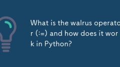 Walrus 연산자는 무엇이며 (: =) Python에서 어떻게 작동합니까?