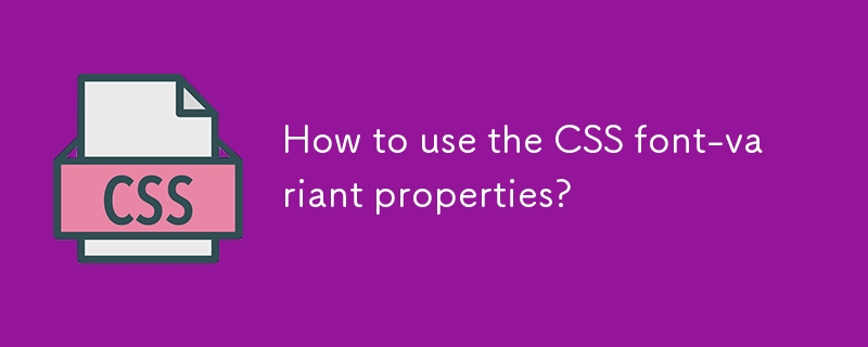 Comment utiliser les propriétés de la police CSS?