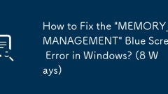 Bagaimana untuk memperbaiki ralat skrin biru 'Memory_Management' di Windows? (8 cara)