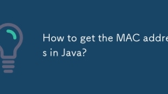 How to get the MAC address in Java?