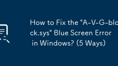 Bagaimana untuk memperbaiki ralat skrin biru 'a-v-g-block.sys' di Windows? (5 cara)