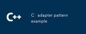C adapter pattern example