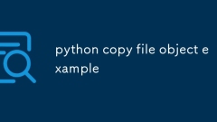 Pythonコピーファイルオブジェクトの例