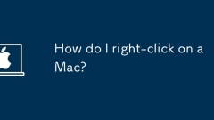 Bagaimana saya klik kanan pada Mac?