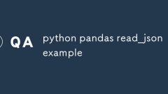 Python Pandas read_jsonの例