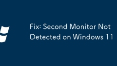 Betulkan: Pemantauan kedua tidak dikesan pada Windows 11