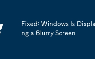 修復:Windows正在顯示模糊屏幕
