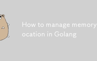 Golang에서 메모리 할당을 관리하는 방법