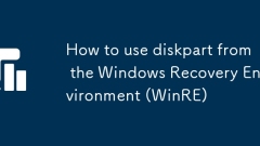 Windows 복구 환경에서 DiskPart를 사용하는 방법 (WINRE)