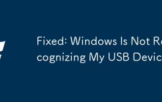 Fixed: Windows Is Not Recognizing My USB Device